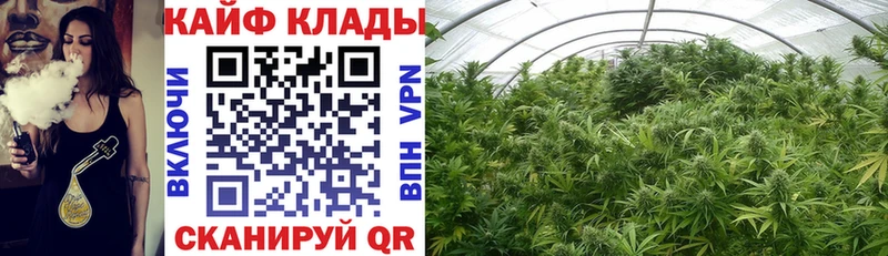 Наркошоп купить Гашиш  A PVP  КЕТАМИН  КОКАИН  Меф мяу мяу  Монино