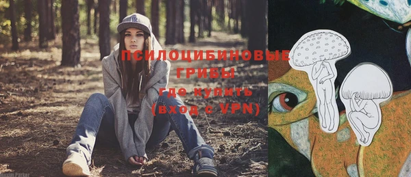 прущий лед Лагань