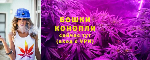 прущий лед Лагань